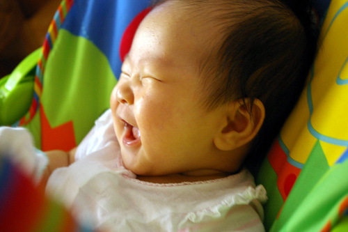 성실, 환희, 스승, 승리, 정열, 사랑, 신념, 행동, 실천, 용기, 희망, 노력, 청춘, 책, 해, 달, 별, 바람, 지구, 생명, 그리고 봄