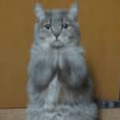 毎日数回お気に入りのGIF画像を投稿します
#動物GIF #アートなGIF #LINEで使いたくなるGIF #痛いGIF