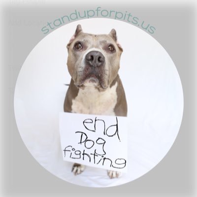 National nonprofit dedicated to ending abuse, discrimination and saving the lives of pit bull type dogs. https://t.co/HMkzZstI9b