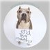 Stand Up For Pits Foundation, Inc (@SUFPFoundation) Twitter profile photo