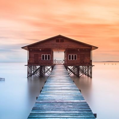 Sample24669872's profile picture. 