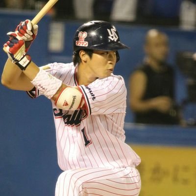 東京ヤクルトスワローズを応燕しています⚾️