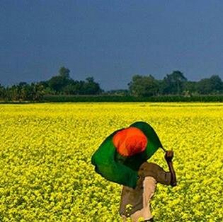 Born in Dhaka ... Lives in Dhaka...Love Traveling, Green and #kungfu movies.. :)