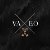 VAEO Business Club(@VAEOffices) 's Twitter Profileg
