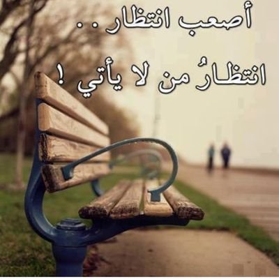حاصل ع شهادة بكالوريوس تربيه رياضيه بكالوريوس علوم سياسية
كلما ضاقت بك الحياة ساعد انسان لا تعرفه فلا تعلم بأي شخص يقضي الله لك حاجتك