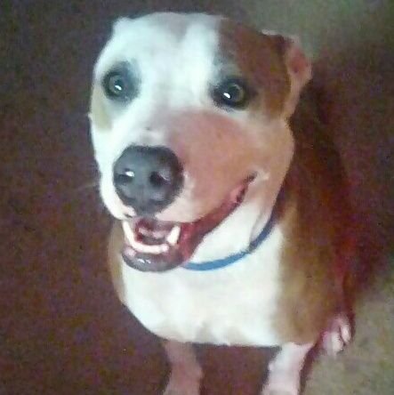 Aly75286147's profile picture. *Just your average college student 😴
*I'm 19 I like sleeping, food, and cute things
*Think that's it 😅