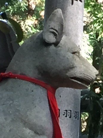 National lisenced tour guide in Japan/#全国通訳案内士(初心者)/外資金融事務→パート·派遣社員·主婦→通訳案内士·留学生お世話係/留学経験無し/英検1級/ローカル路線バス乗り継ぎの旅(太川·蛭子チーム)/無言フォロー失礼します/