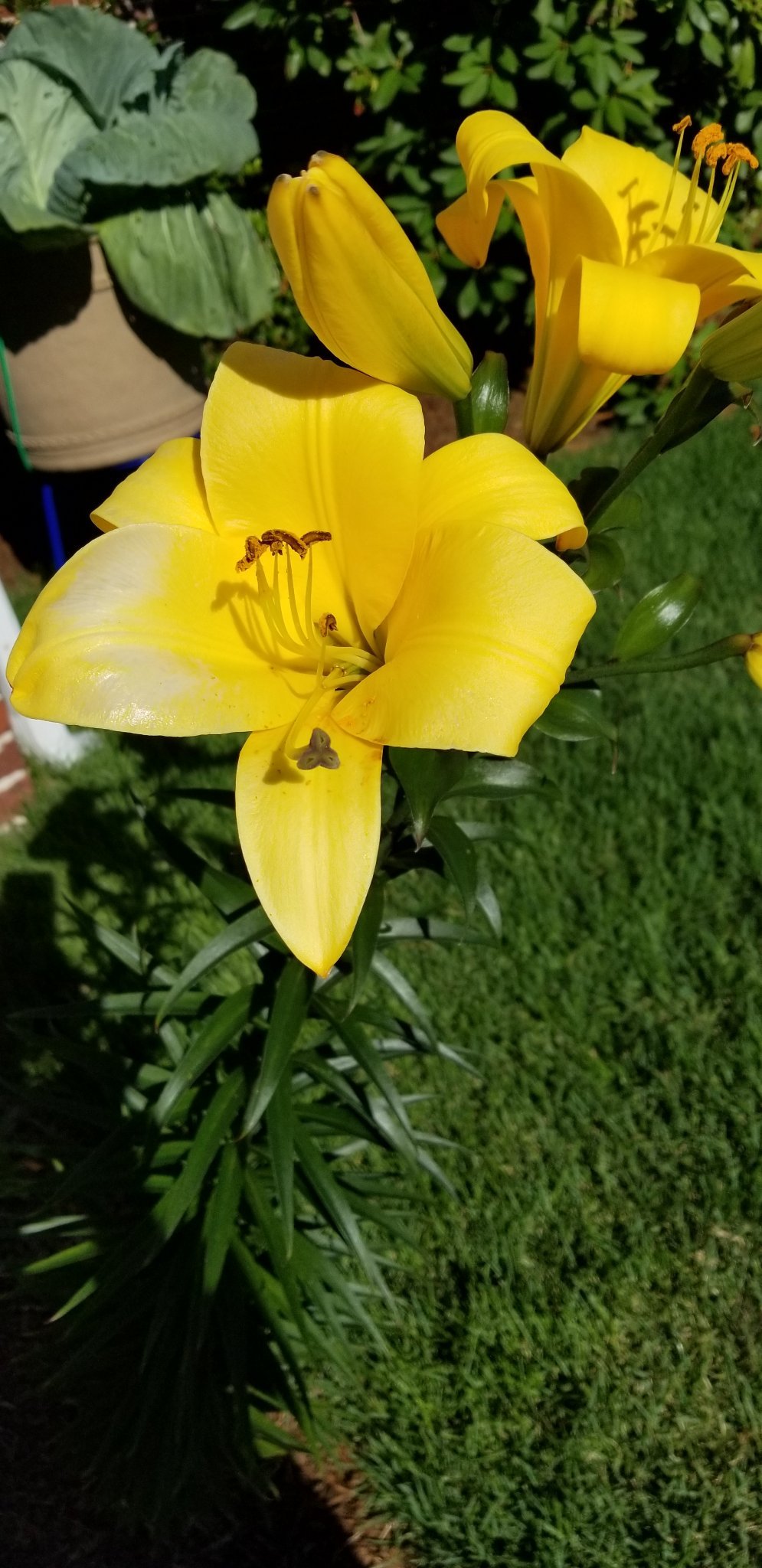 CampKristi's profile picture. 