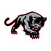 North Johnston High Athletics (@njhspanthers) Twitter profile photo