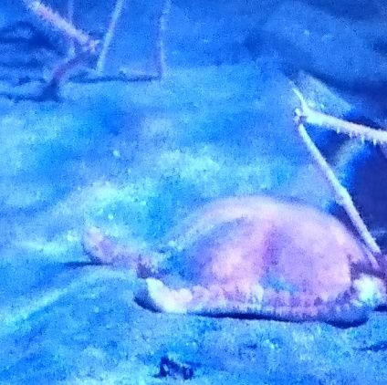 海守さんのプロフィール画像