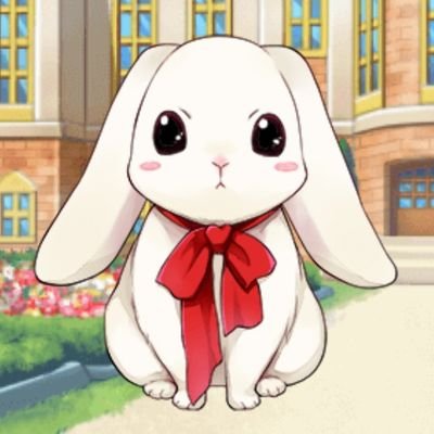 白田姫 Forest Owl 3 Twitter 白田姫 Forest Owl 3 Twitter
