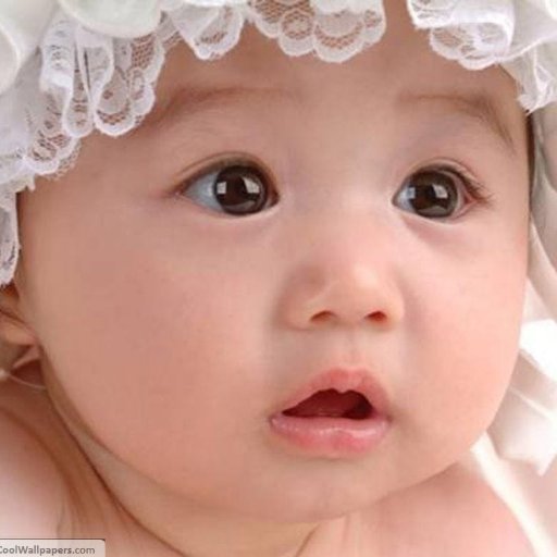 fdsfdsfgds1's profile picture. 