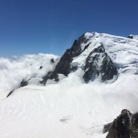 Charlotte Mistry (@mistrycharlotte) 's Twitter Profile