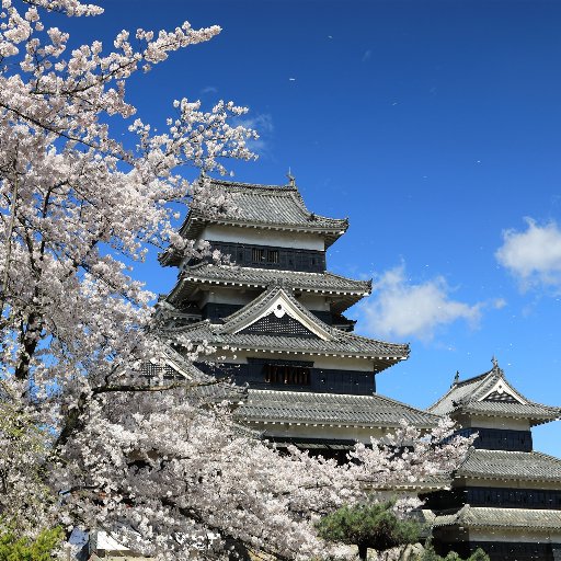 日本100名城・続日本100名城を中心にお城めぐりをしています。
最近は石垣のミニチュアを作成しています。
ホームページを開設しました🏯
「城びと」サイトに日本100名城写真の記載実績多数あり📷️