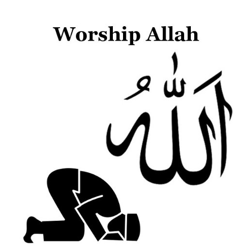 No one is worthy of worship except Allahﷻ and Muhammadﷺ is His Messenger.