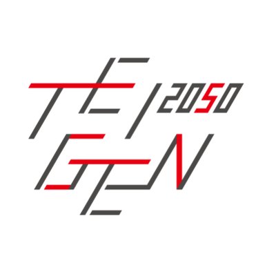 Teigen Japan 2050 On Twitter 提言 S Nergy 憲法で日本の家族を守る Https T Co Tjgy8jfh0a 2050年問題 憲法改正 家族保護条項