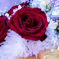 أيـــلــولـ (@nouraldwayni) Twitter profile photo