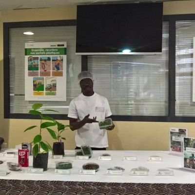 KotoWilfried's profile picture. 