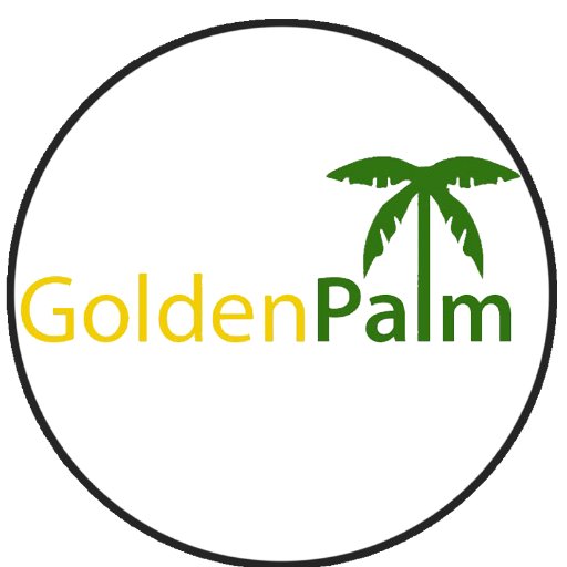 Golden Palm Investments is an early-stage venture capital firm focused on high-growth technology opportunities across Africa.