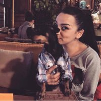 Şerife Arslan Açıkalın (@srfrsln) Twitter profile photo