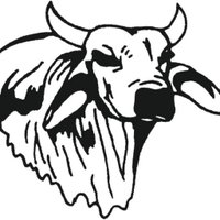 Hallettsville Brahma Athletics (@hbteams) 's Twitter Profile
