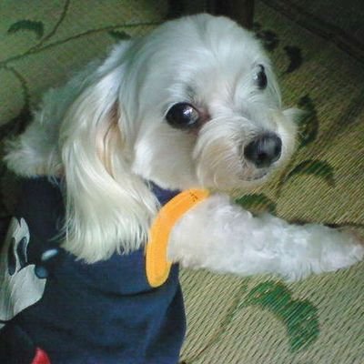 agnesb3310's profile picture. 