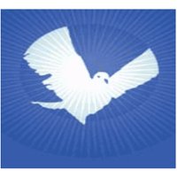 UK and Ireland Nuclear Free Local Authorities(@NFLAUKandI) 's Twitter Profile Photo