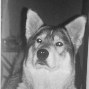 Carla_ALW's profile picture. 