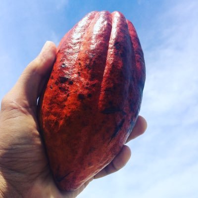 Fine cacao & chocolate trading Latin America →Japan
ロメロトレード株式会社。中米から #ファインカカオ と #チョコレート を直輸入しています。代表はコスタリカ出身の #セニョールカカオ
#SibuChocolate（コスタリカ産）日本総代理店。