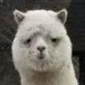 janus_of_DC's profile picture. Bad coder