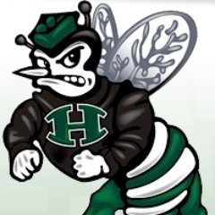 Huntsville Hornet Volleyball