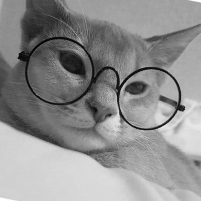 Profile Picture of Kitten Meøw (._.)🇨🇴 (@David52928249) on Twitter