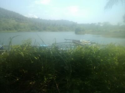 NaimAbdullah17's profile picture. male