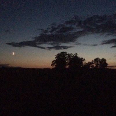 Ophelie Encore Un Jour De Pluie Comme Dans Mon Coeur Meurtri Depuis Que Tu Es Parti Pensees Citation Manque Vide Pluie Triste