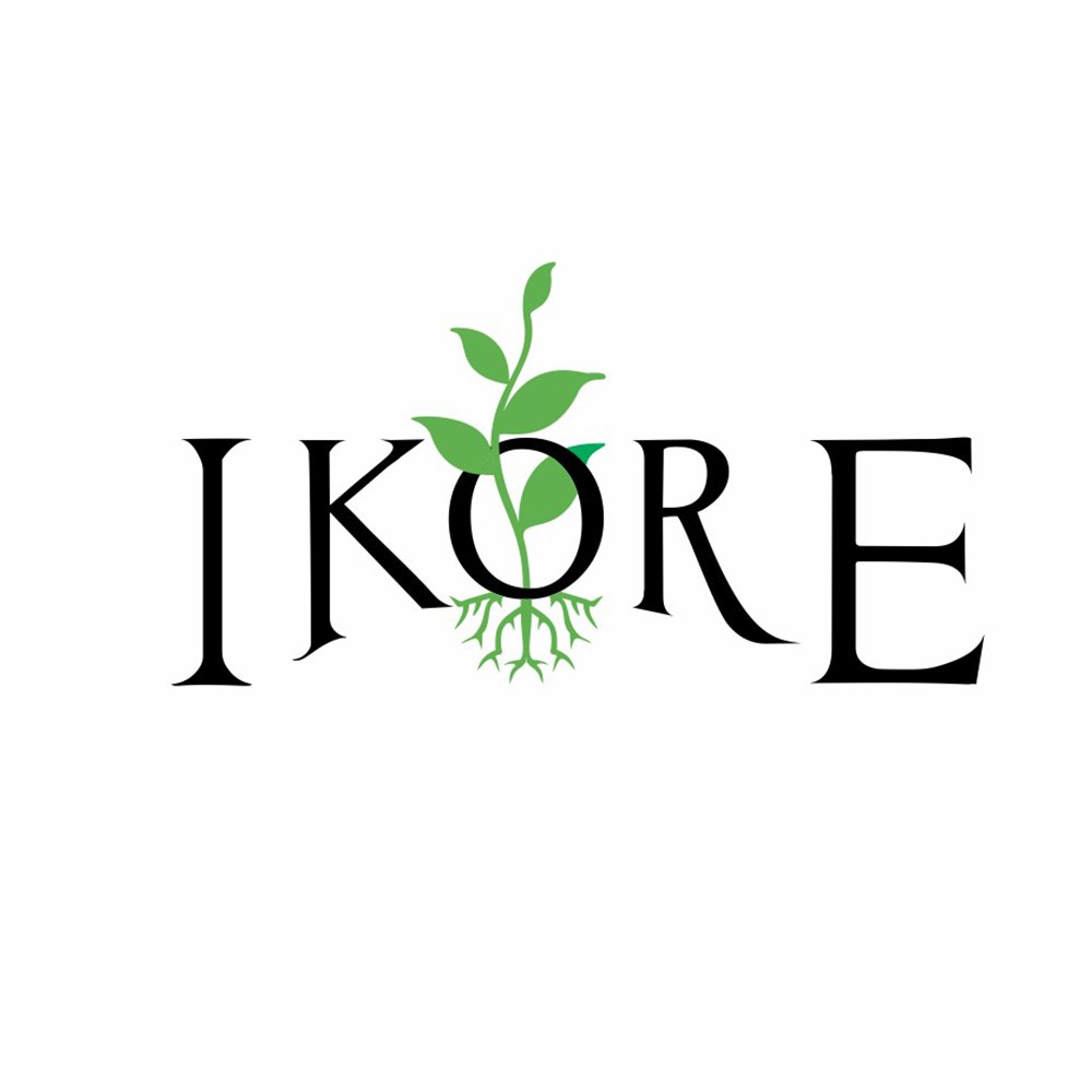 Ikore Intl. is a development organization, proffering innovative and creative solutions to drive sustainable social and enterprise development across Africa