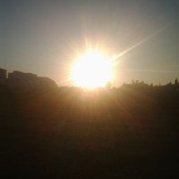 mehmet bonof (@mehmetbonof) 's Twitter Profile