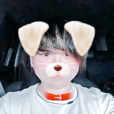 0114destiny's profile picture. TU 6B 少しずつフォロバ