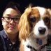 Simon Tam (@simonsayscode) Twitter profile photo Simon Tam (@simonsayscode) Twitter profile photo