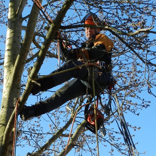 A landscape,garden and tree service We don't just do the obvious we do what is needed to get the job done to keep your gardens looking their best.