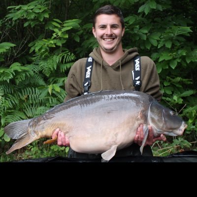 tomtheford's profile picture. #COYS