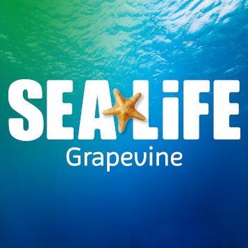 SEA LIFE Aquarium in Grapevine is home to over 5,000 sea creatures. Stop by and discover something new today!