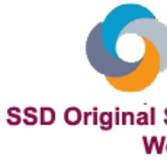 SSDSolutions1 Profile Picture