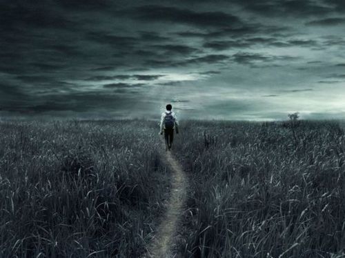 DonJackal's profile picture. 