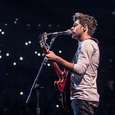 This account is to find others that attended AND MET NIALL at the same Flicker Tour Date(s) as you. I’ve created lists for the dates for each show💖