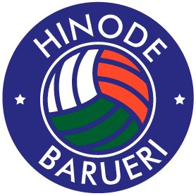 Página oficial da equipe feminina de vôlei Hinode Barueri, comandada pelo tricampeão olímpico José Roberto Guimarães. O time tem patrocínio do Grupo Hinode.