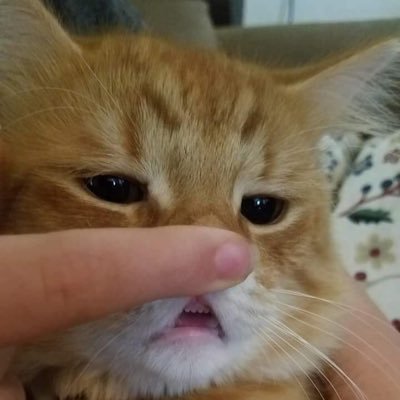 ezrnshahira's profile picture. I'm cute & smol, don't hurt me