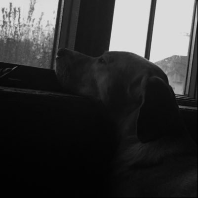 RocktimChow's profile picture. lol