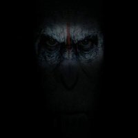 monoking39 (@monoking39) 's Twitter Profile