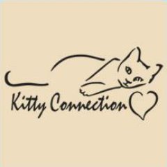 Animal rescue and adoption network serving Greater Boston. All volunteer, nonprofit, no-kill. Check our listings daily and #AdoptDontShop!
