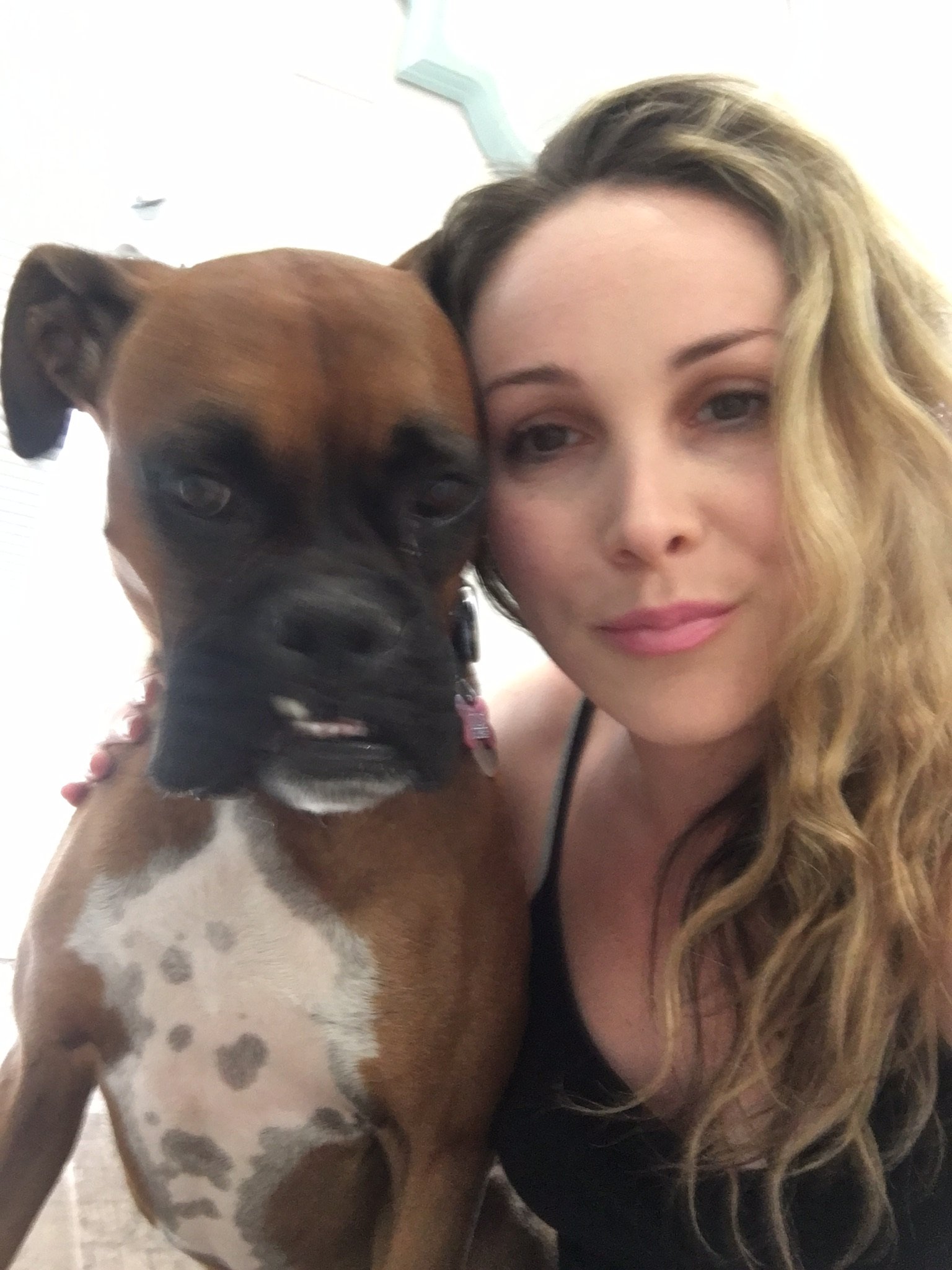 msjwalch's profile picture. Coordinator of ES Technology and Innovation, Teacher, Google Certified Educator, #boxerdog lover, Dog Mom, and Lifelong Learner. M.A.T, #USC